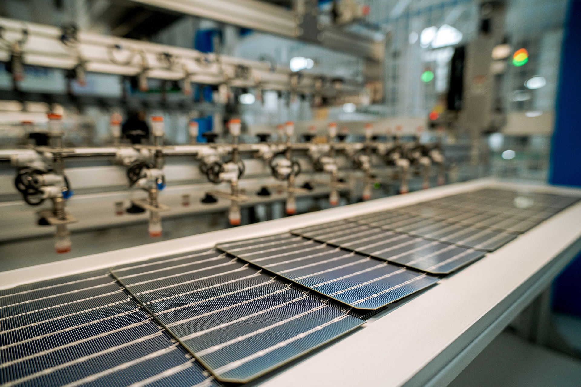 Half-cut monocrystalline solar cells on the production conveyor